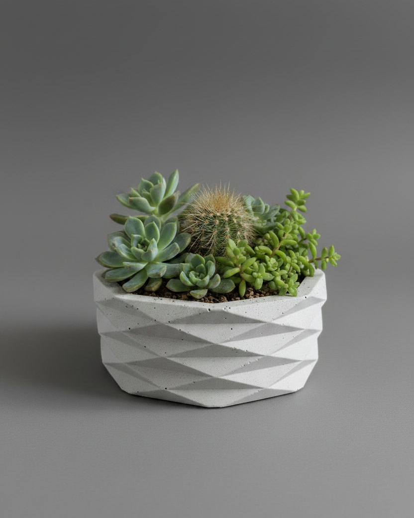 Coupe Strata en Béton