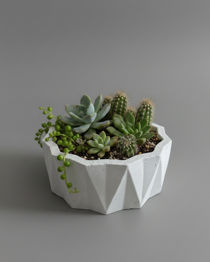 Coupe Crête en Béton