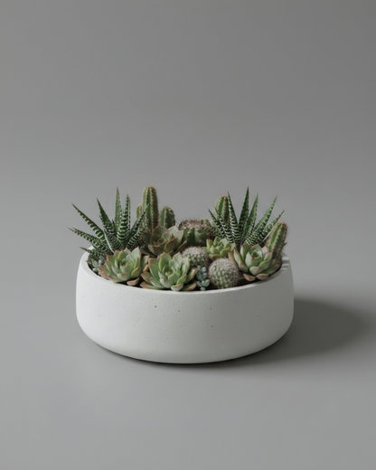 Coupe Galet en Béton