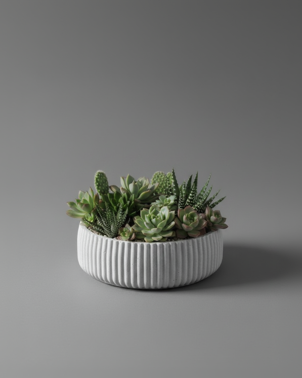 Coupe Sillon en Béton