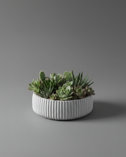 Coupe Sillon en Béton