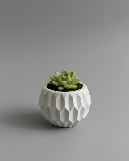 Pot Facet en Béton